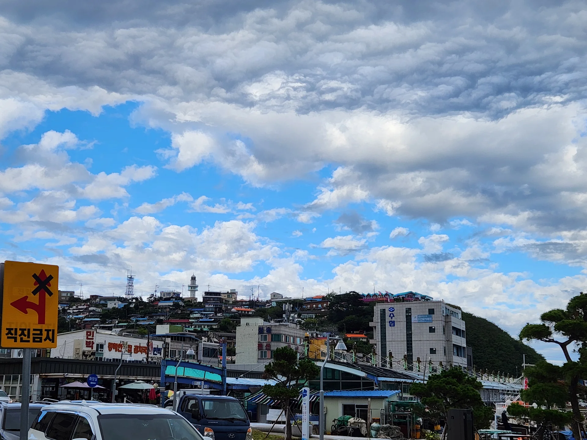 Hillside buildings near Mukho Harbour in Donghae